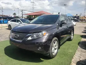 Lexus RX 350 2010 Gray