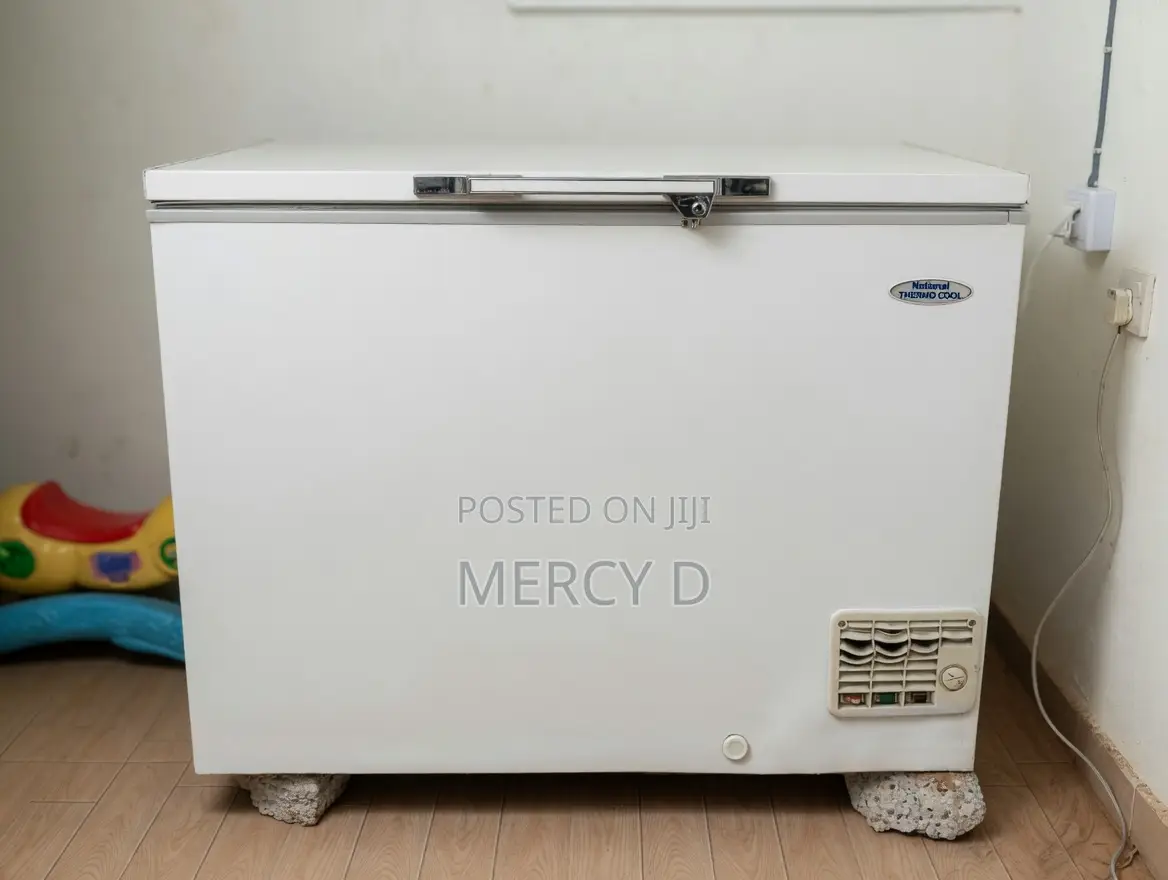 314l Haier Thermocool Deep Freezer