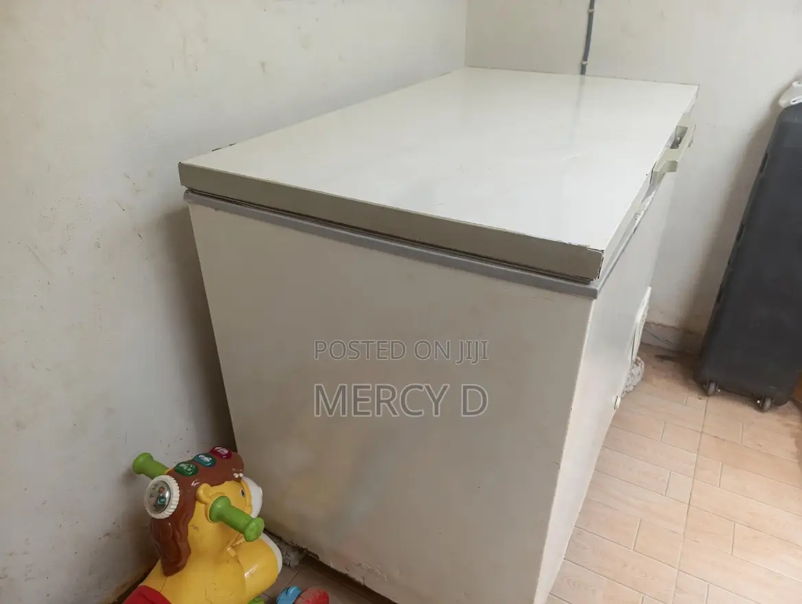 314l Haier Thermocool Deep Freezer