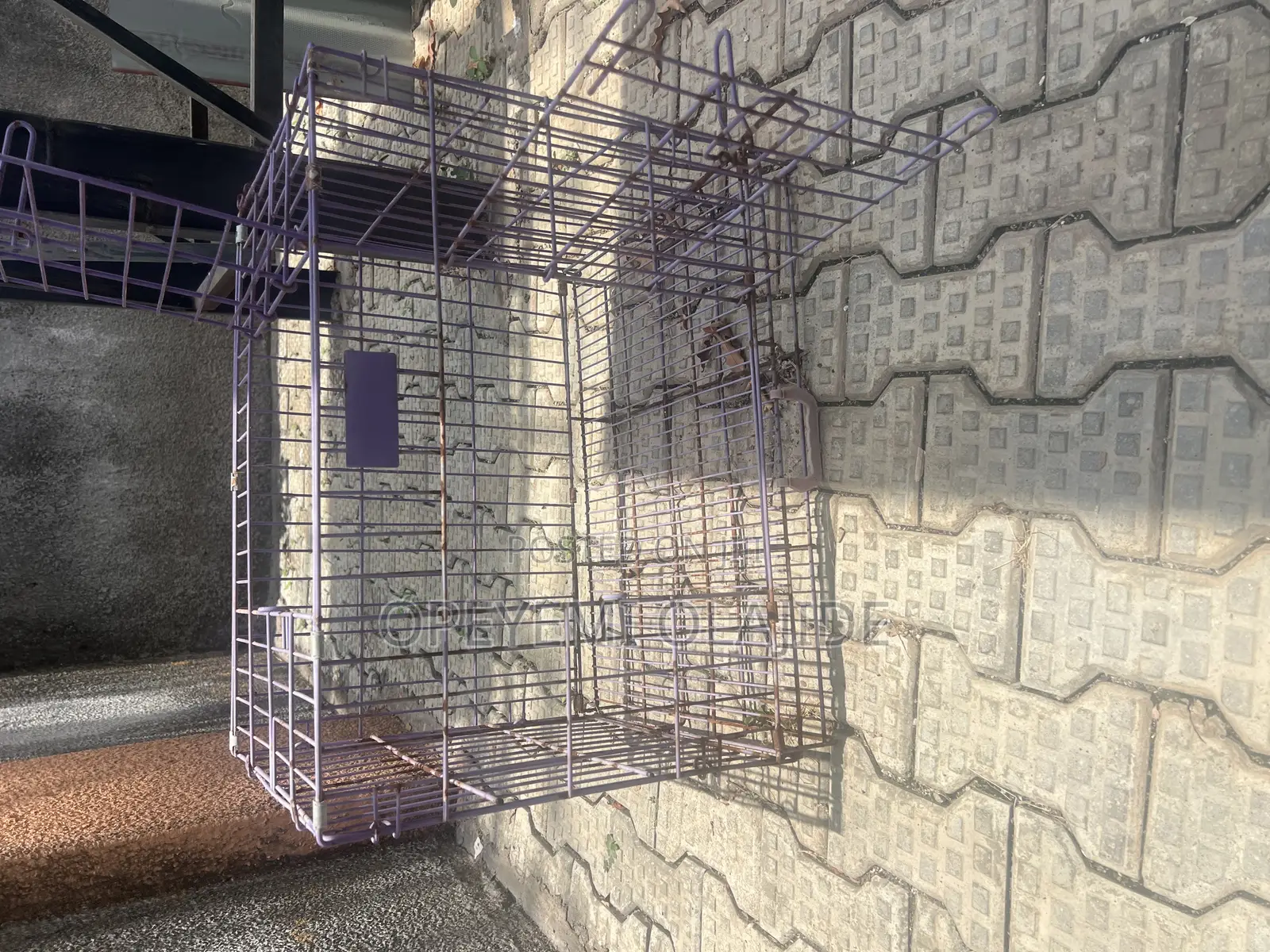 Collapsible Dog Cage