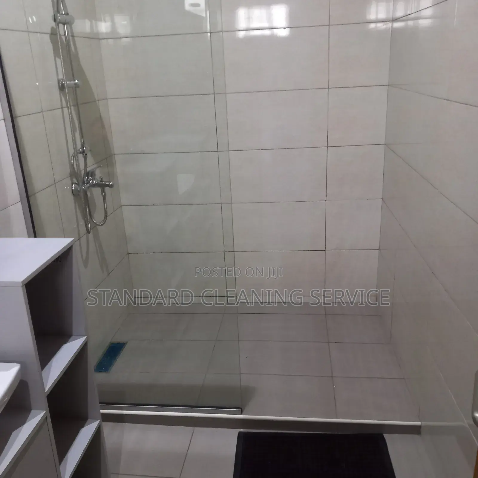 Need a Proffessional Cleaning Service