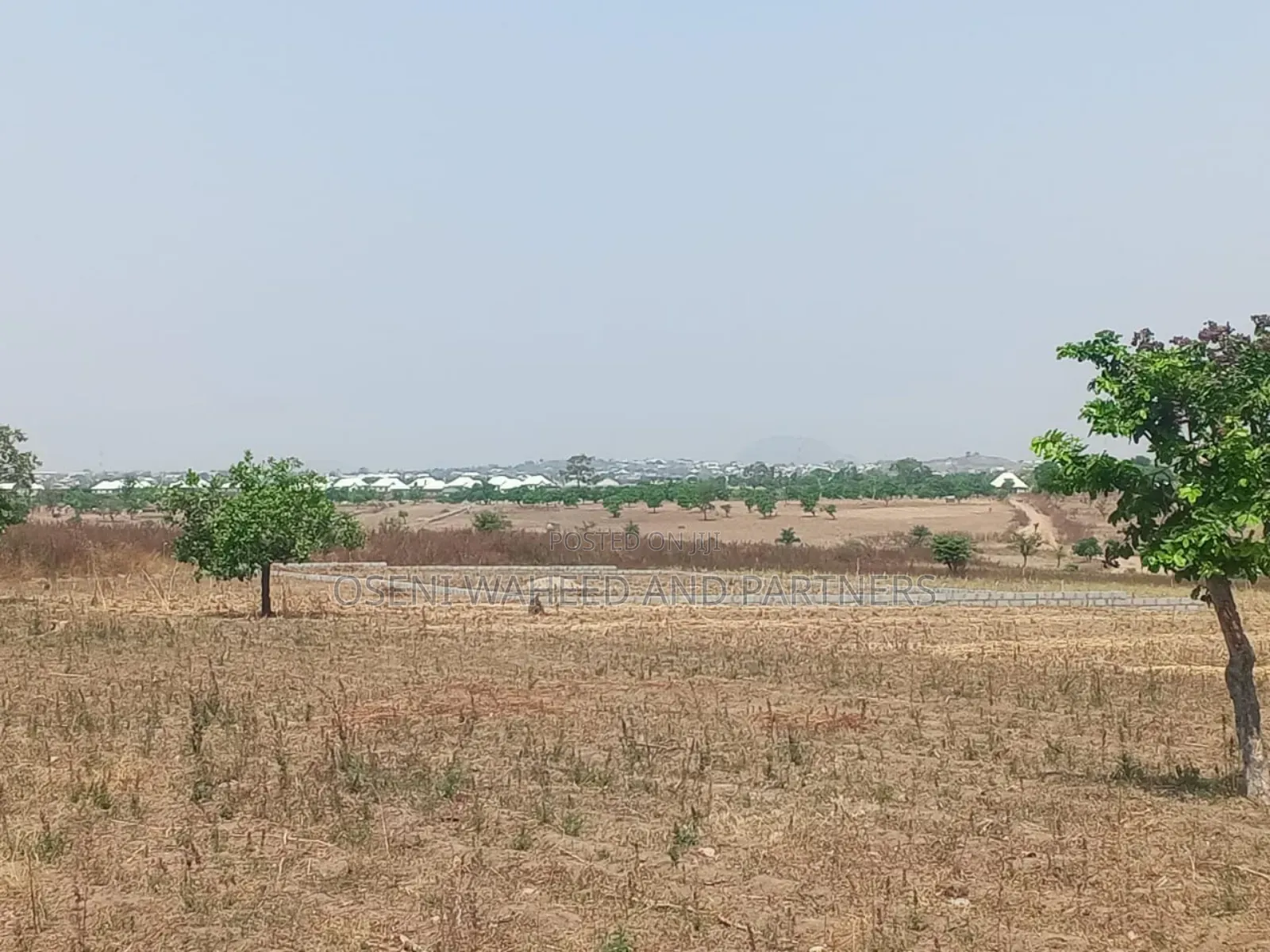 New Plot Allocation