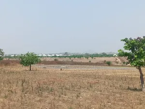 New Plot Allocation