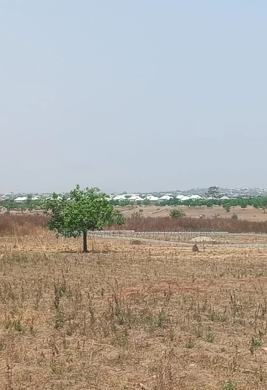 New Plot Allocation