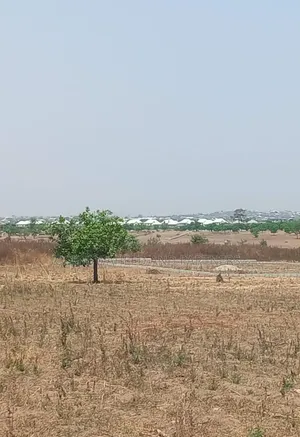 New Plot Allocation