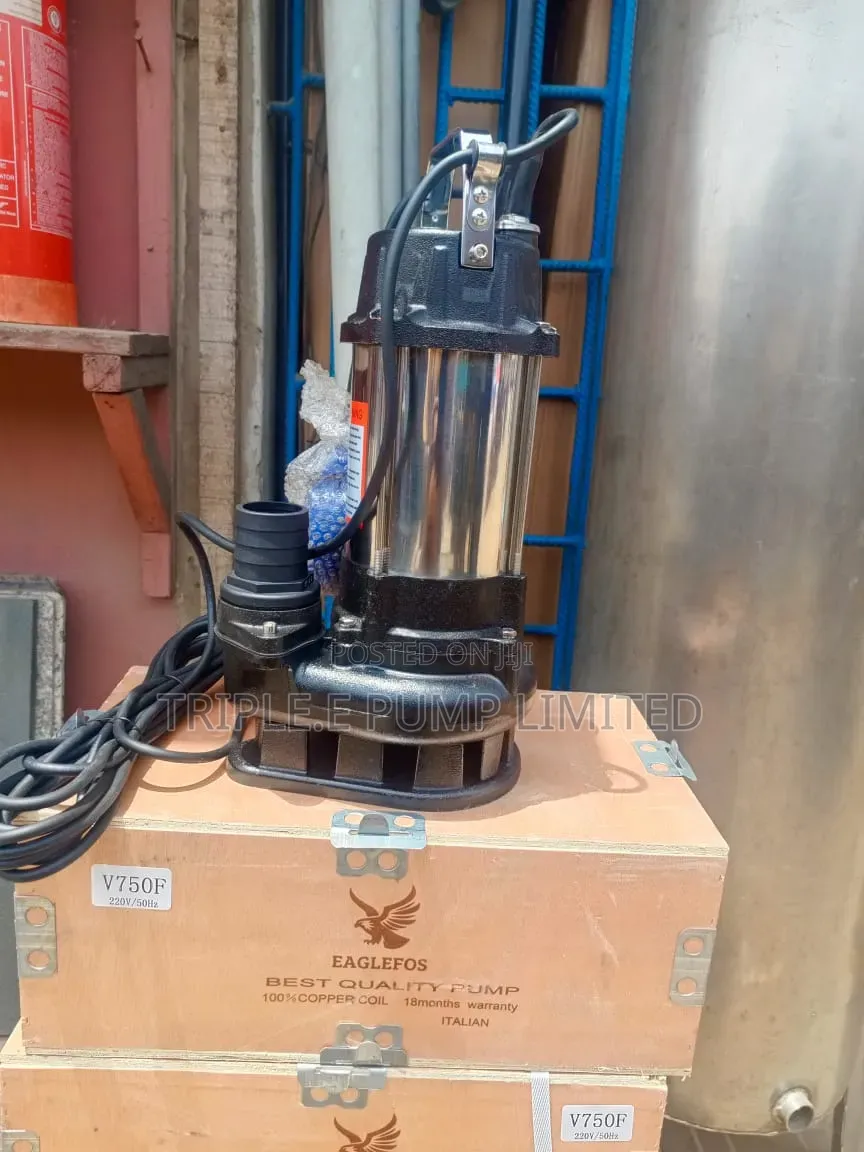 Eagle Sewage Pump