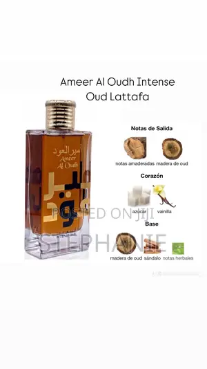 Oud Ameer Perfume