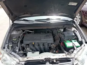 Toyota Corolla 2003 Gray
