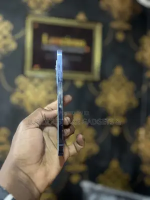 Apple iPhone 13 Pro Max 512 GB Blue