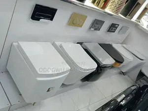 Luxury Conceal Wc Set