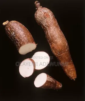Agriculture