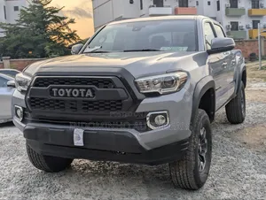 Toyota Tacoma TRD Off Road 2019 Gray