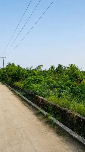 2plots Together
