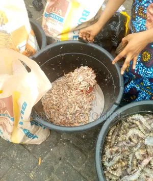 Sea Foods Protein