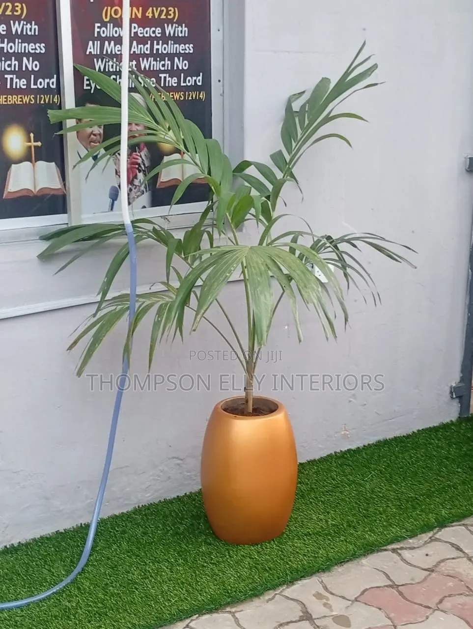 Glossy Egg -Shape Decor Planter Plant Setup