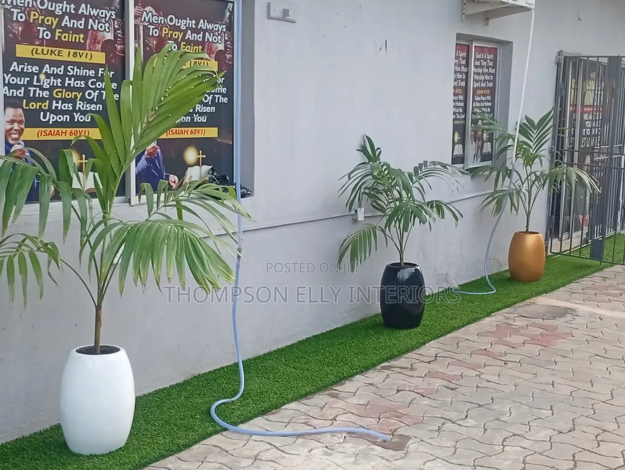 Glossy Egg -Shape Decor Planter Plant Setup