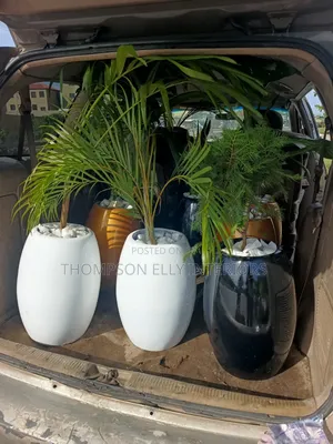 Glossy Egg -Shape Decor Planter Plant Setup