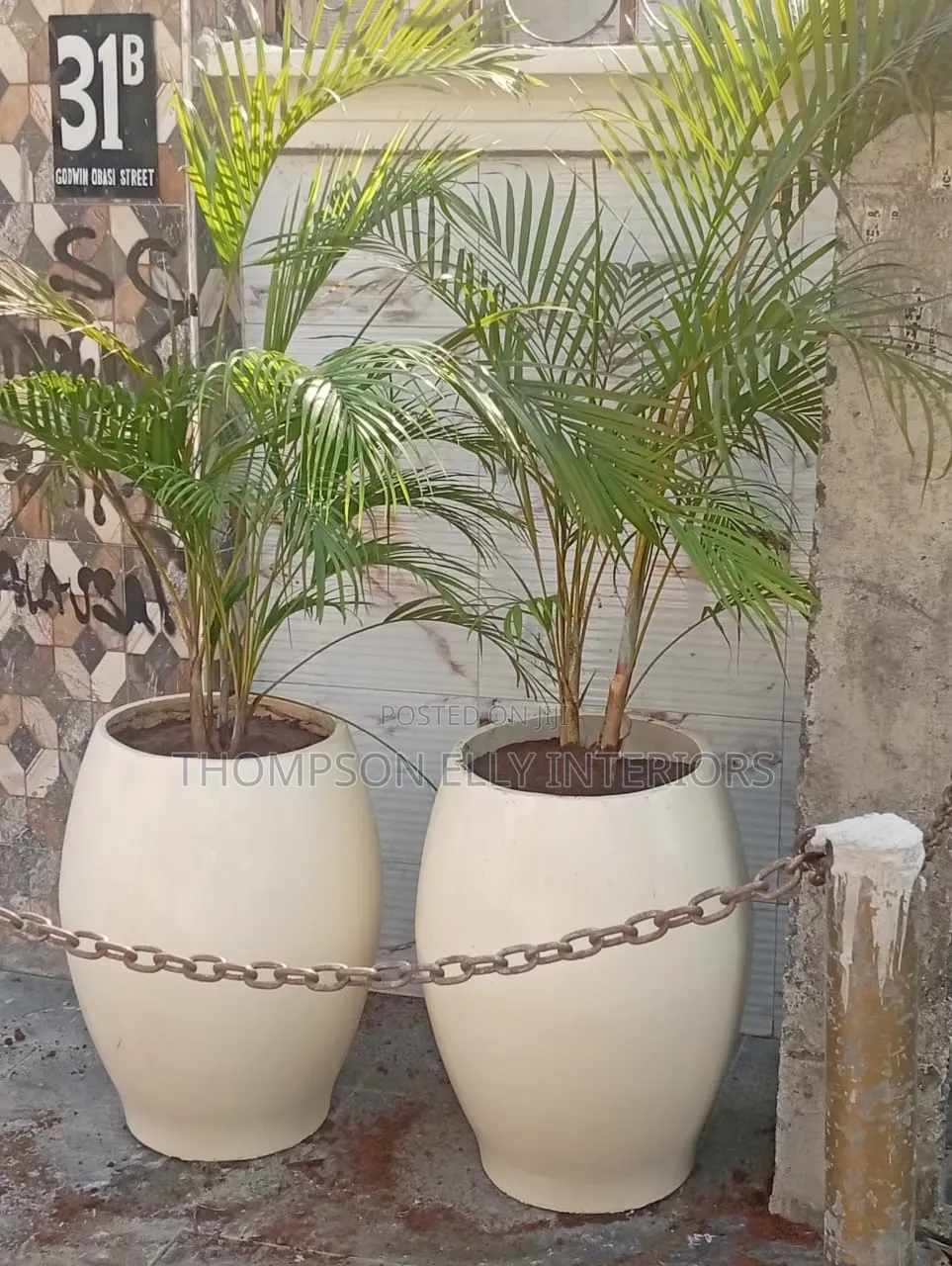 Glossy Egg -Shape Decor Planter Plant Setup