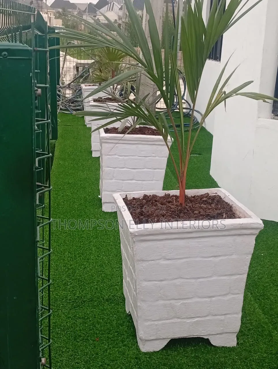 Glossy Egg -Shape Decor Planter Plant Setup