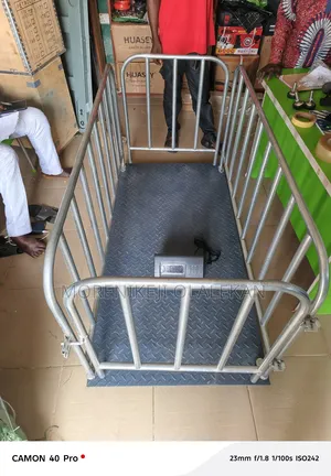 Walk In Platform Scale(3tons)