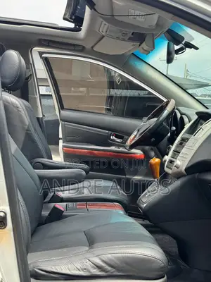 Lexus RX 2009 Silver