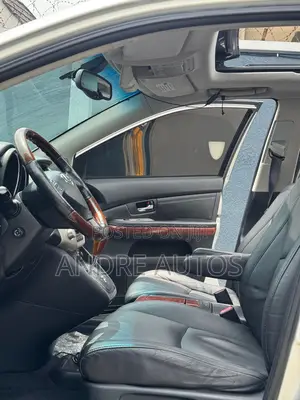 Lexus RX 2009 Silver