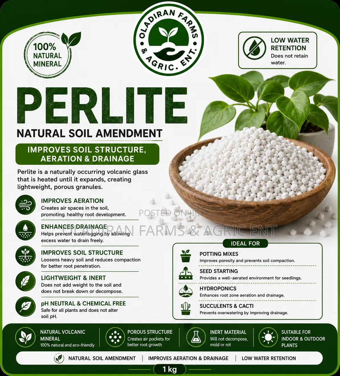 Perlite 1kg