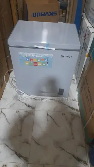 Original Skyrun Bd-145a Deep Freezer for Sale