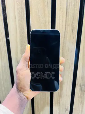 Apple iPhone 14 Pro Max 256 GB Silver
