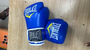Everlast Boxing Gloves