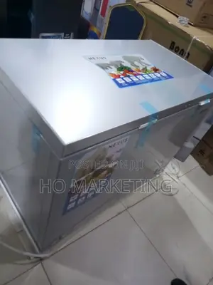 Nexus Nx-400g Spacious Ice Storage Freezer