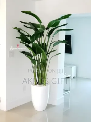 Home Decor