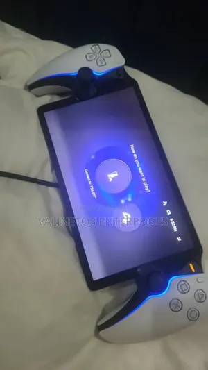 Ps 5 Portal
