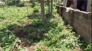 Plot of Land for Sale 120 * 60 (C of O and All Documents Complete)