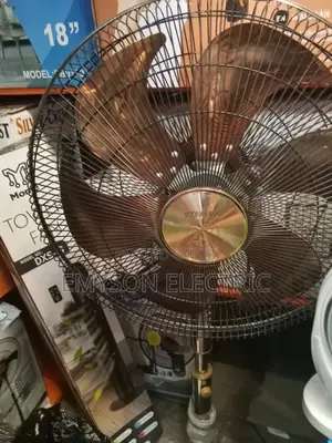 Standing Fan