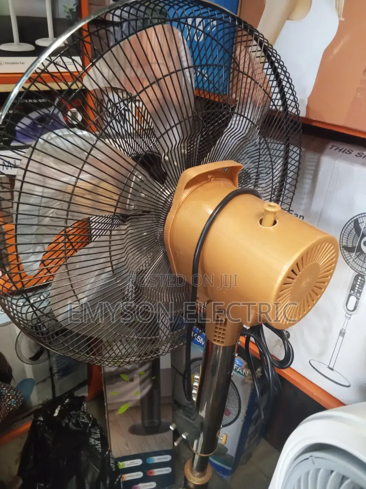Standing Fan