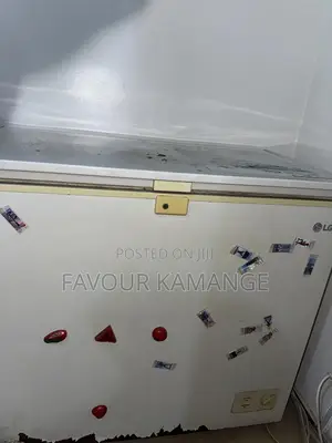 Lg Deep Freezer