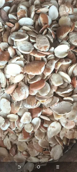 Crayfish and Other Dried Seafood