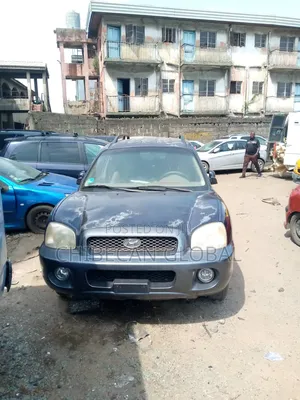 Hyundai Santa Fe 2005 Black