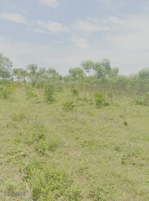 2 Plots of Land for Sale at Akinbiyi Area, Ido, Ibadan.