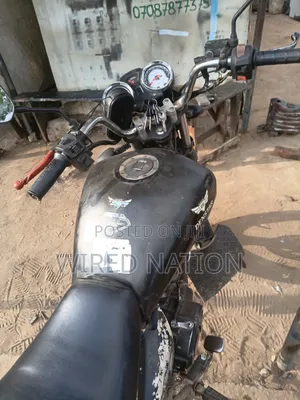 Denstar Taurus 2023 Black