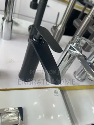 Black and Stainless Basin Hot and Cold Tap