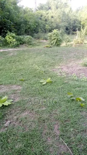 A Plot of Land