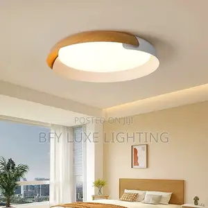 Minimalist Circular Ceiling Light With Light Oak Wood Accents