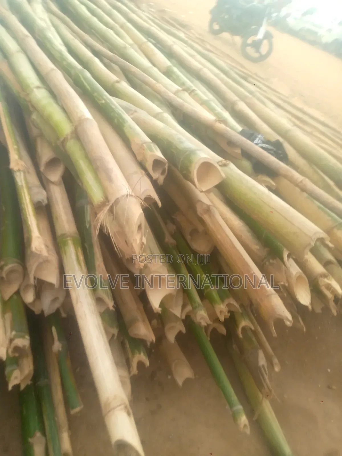 Ondo Bamboo