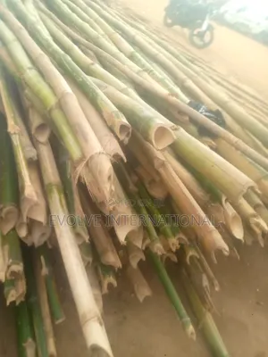 Ondo Bamboo
