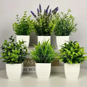Green Plants With Flower Pot