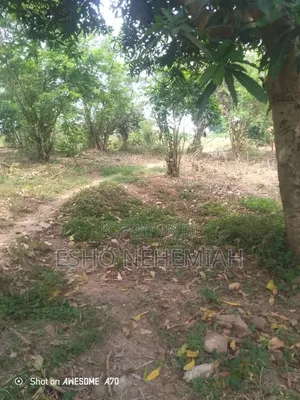 Property for Sale/ Over 6plots.