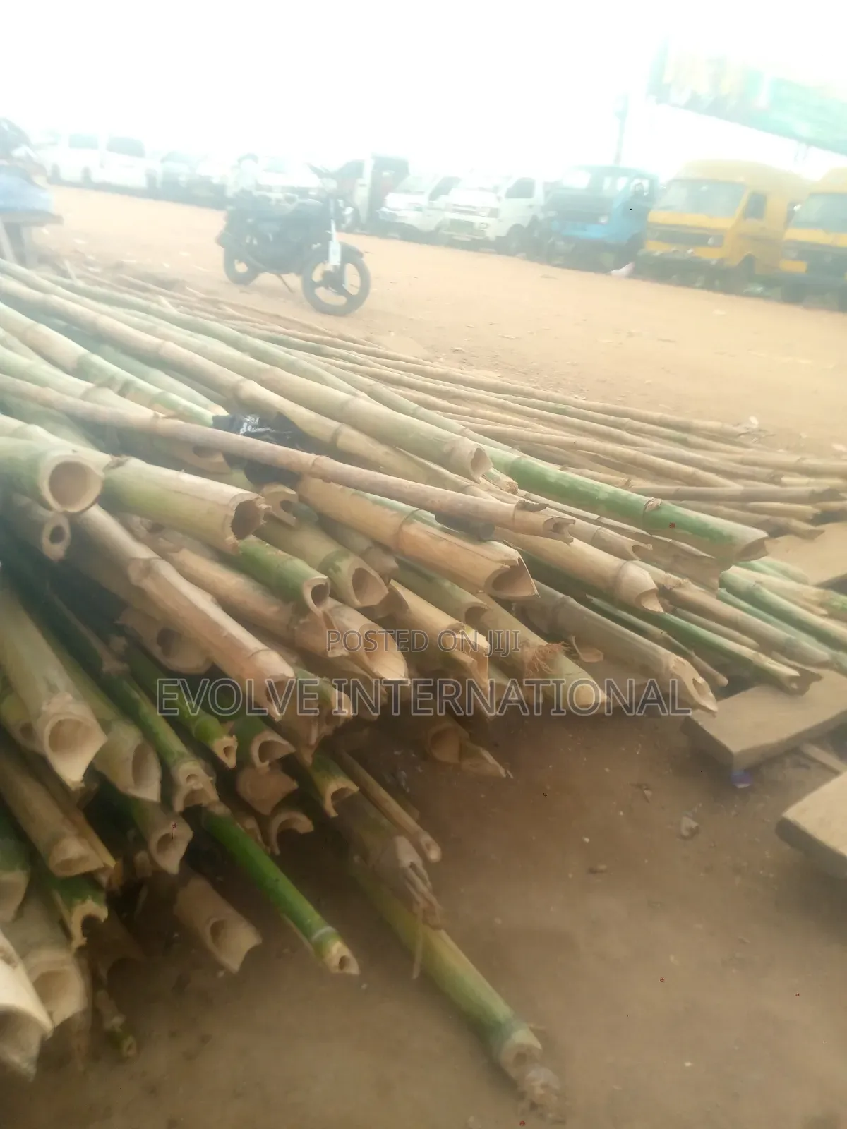 H Thick Bamboo
