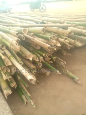 H Thick Bamboo